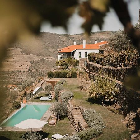 Quinta Da Gricha Ξενοδοχείο Ervedosa do Douro Εξωτερικό φωτογραφία