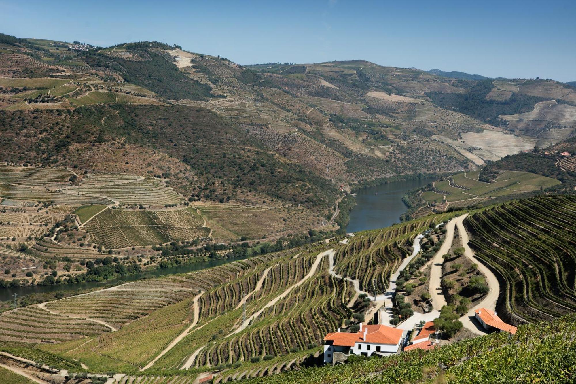 Quinta Da Gricha Ξενοδοχείο Ervedosa do Douro Εξωτερικό φωτογραφία