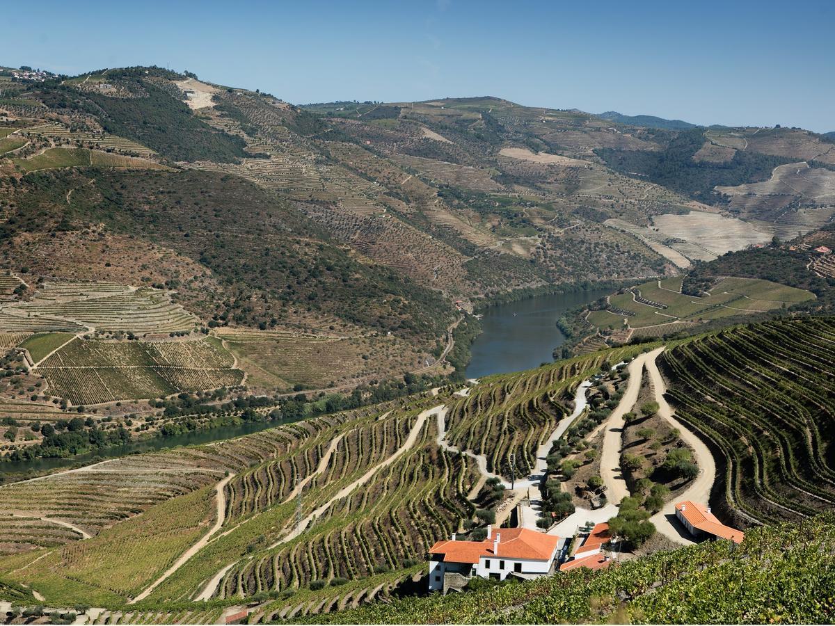 Quinta Da Gricha Ξενοδοχείο Ervedosa do Douro Εξωτερικό φωτογραφία