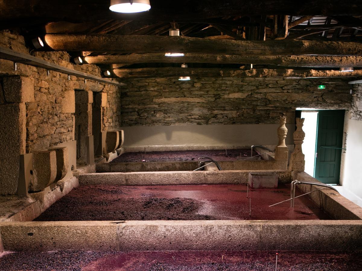Quinta Da Gricha Ξενοδοχείο Ervedosa do Douro Εξωτερικό φωτογραφία