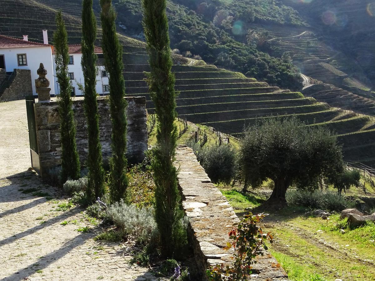 Quinta Da Gricha Ξενοδοχείο Ervedosa do Douro Εξωτερικό φωτογραφία
