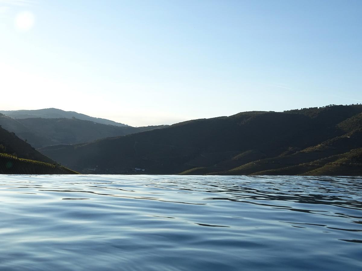 Quinta Da Gricha Ξενοδοχείο Ervedosa do Douro Εξωτερικό φωτογραφία