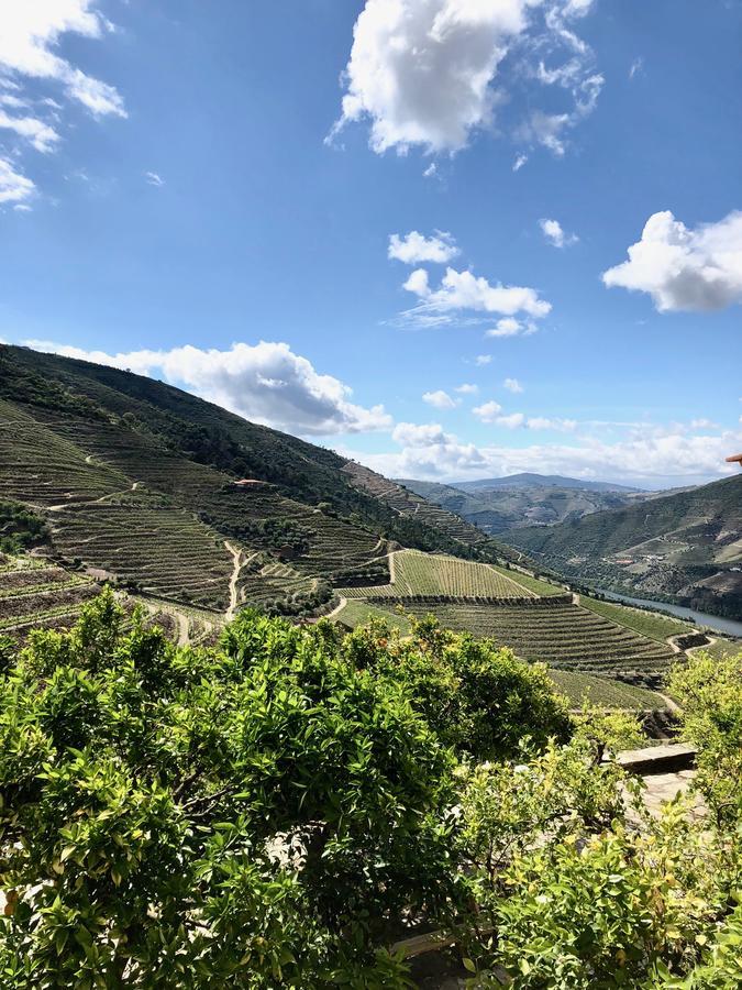 Quinta Da Gricha Ξενοδοχείο Ervedosa do Douro Εξωτερικό φωτογραφία