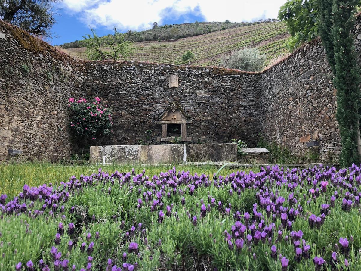Quinta Da Gricha Ξενοδοχείο Ervedosa do Douro Εξωτερικό φωτογραφία