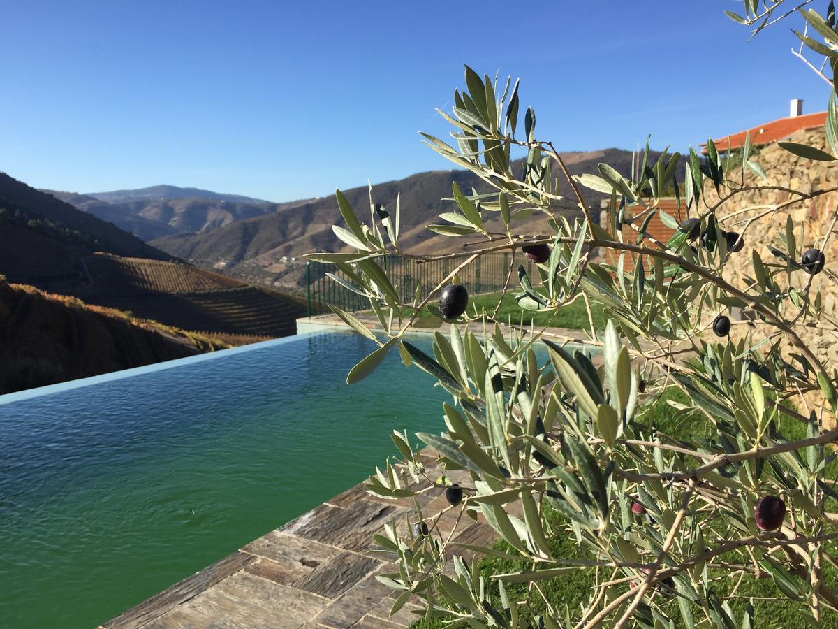 Quinta Da Gricha Ξενοδοχείο Ervedosa do Douro Εξωτερικό φωτογραφία